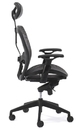 Ergo Office Chair